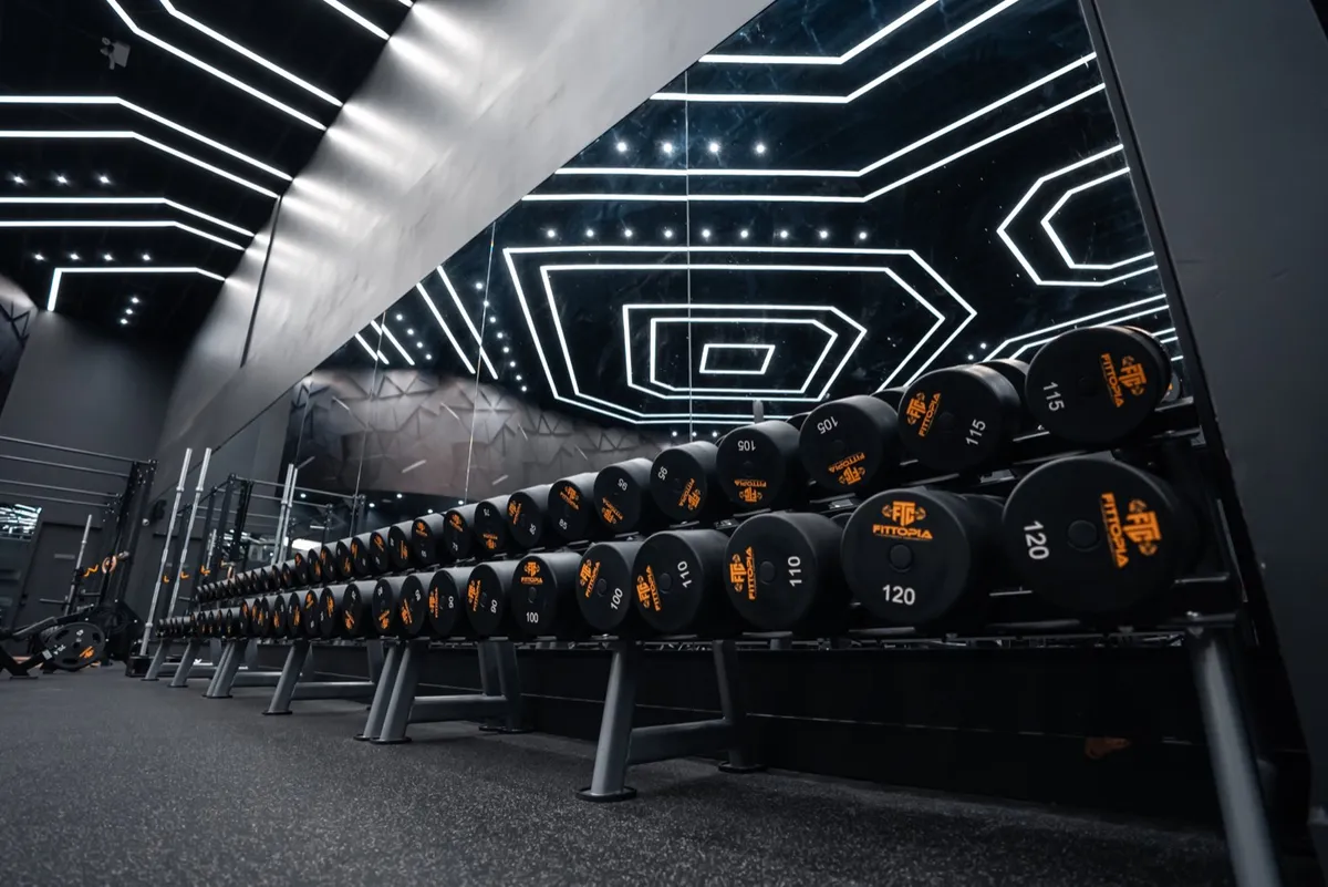 Arsenal Strength selectorized equipment at Fittopia gym